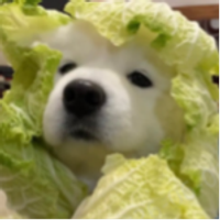 Funchovy
