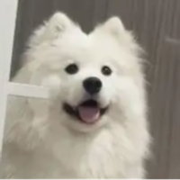 刘艳超